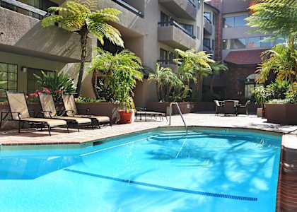 A pool surrounded by palm trees and chairs.