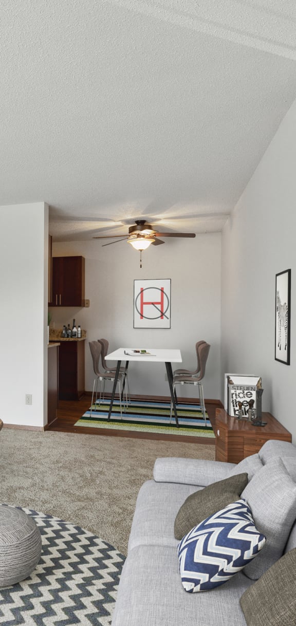 A living room with a grey couch, a black and white rug, and a wooden cabinet. at Silver Ridge, Minnesota, 55119
