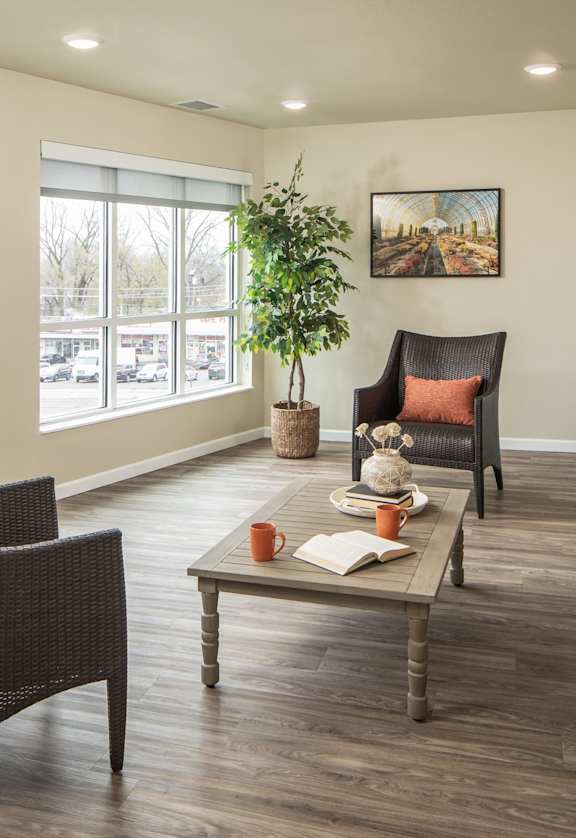 A living room with a chair, a sofa, a coffee table, and a potted plant.