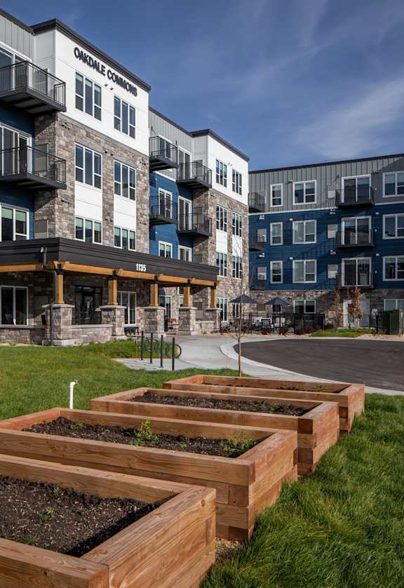 A row of wooden planters with soil in them are lined up on a grassy area in front of apartment buildings.