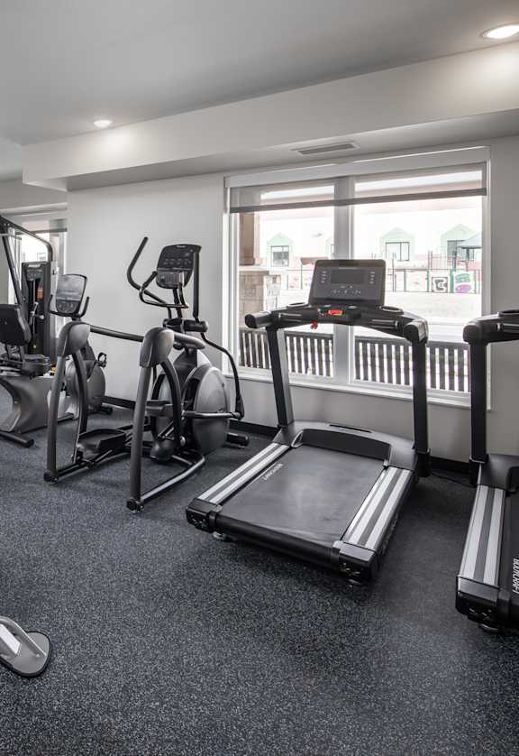 A well-equipped home gym with various exercise machines and equipment.