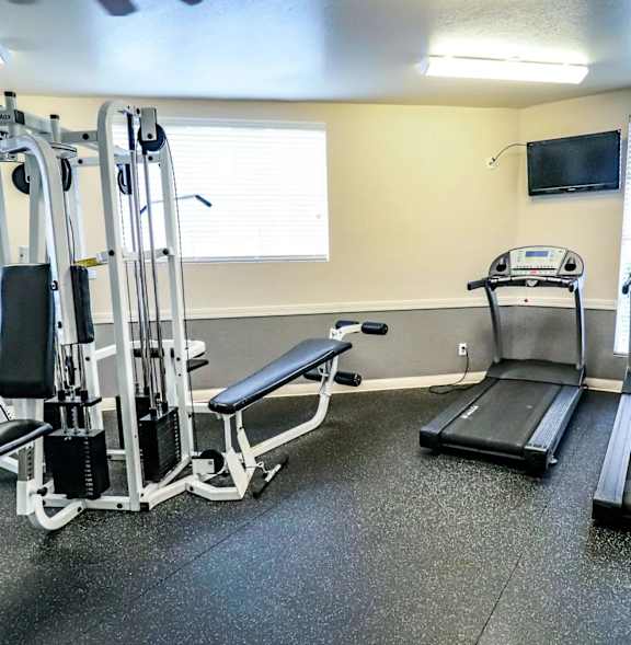 A gym with treadmills, a bench, and a weight machine.