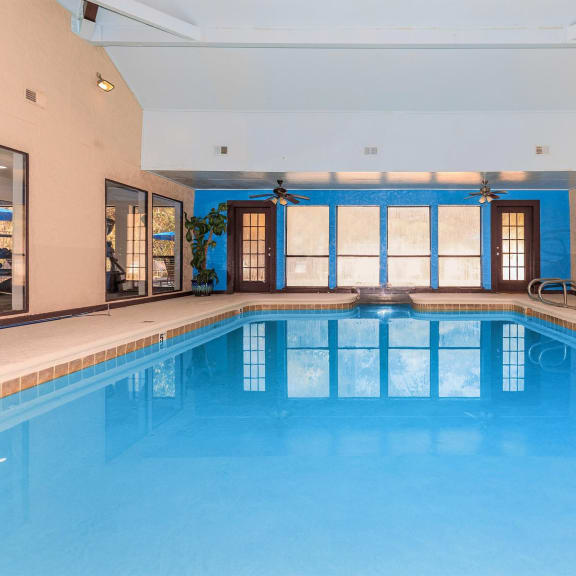 pool at Muse