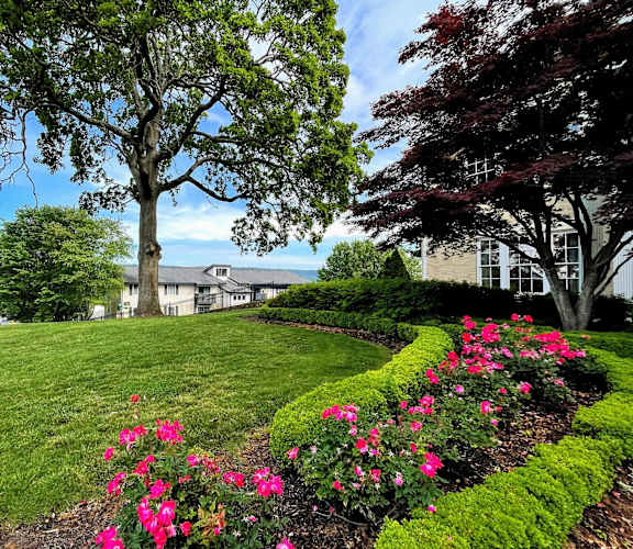 A well-manicured garden with a large tree and a house in the background.