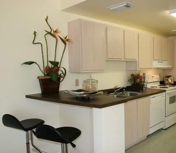 Kitchen area