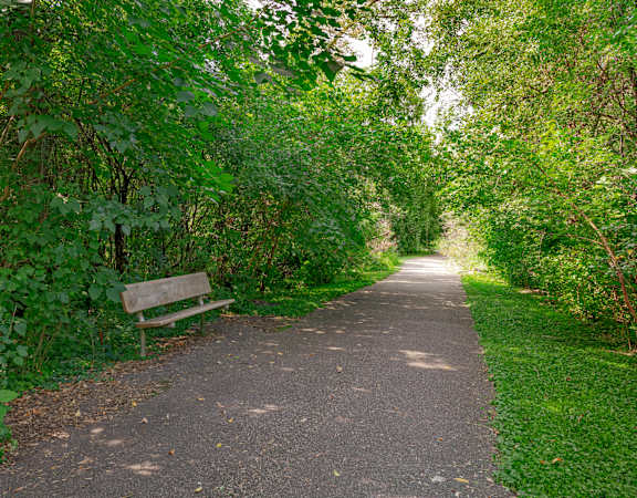 Paved walking trail with a park bench at Mallard Creek, Golden Valley, MN
