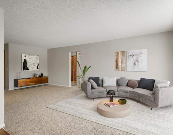 A living room with a grey couch, a coffee table, and a rug.