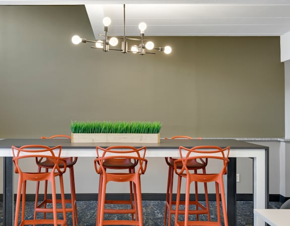 A long table with four chairs and a plant on it.