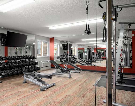 A gym with a variety of equipment including dumbbells, weight machines, and a flat screen TV.