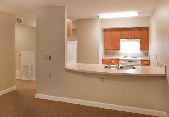 A kitchen with brown carpeting and white walls.