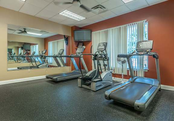 A gym with treadmills, elliptical machines, and a television.
