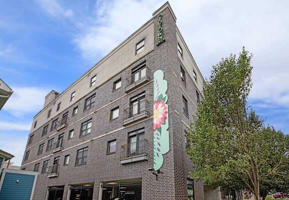 A tall building with a green sign on the top and a large flower mural on the side.
