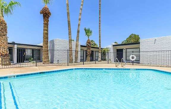 A pool surrounded by palm trees and a fence.