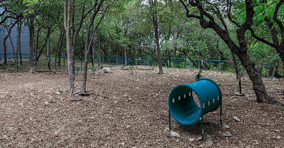 A blue plastic chair is in the middle of a forest.at The Keller, San Antonio, TX 78230