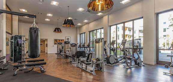 a gym with weights and a punching bag on the floor