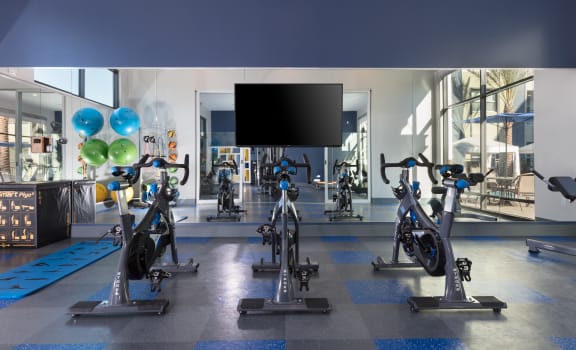a spacious fitness center with treadmills and exercise bikes