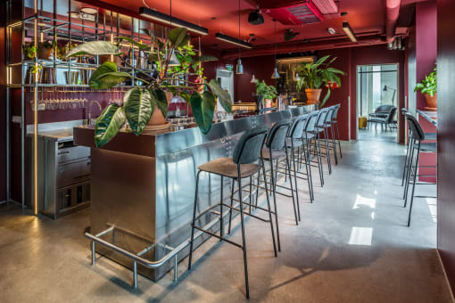 a long bar with stools and plants on the counter
