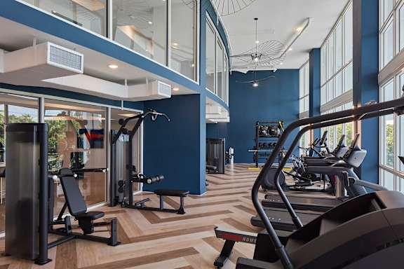 A gym with treadmills, weights, and exercise equipment.