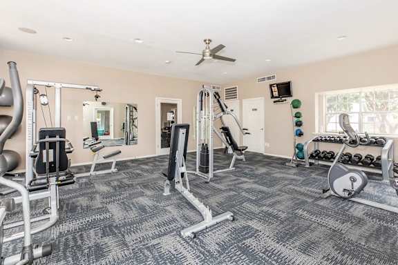 A spacious gym with a variety of equipment including a treadmill, weight bench, and a rowing machine.