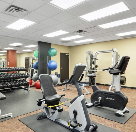 A gym with a variety of equipment including treadmills, weights, and exercise balls. at The Edina Towers, Edina, MN