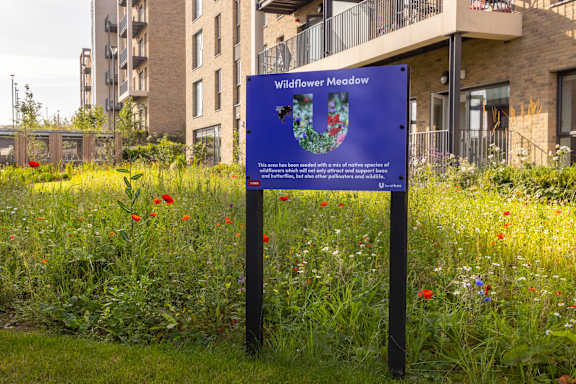 a sign in a field of flowers in front of a building