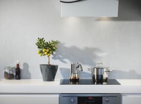a kitchen counter with a plant and a kettle on it