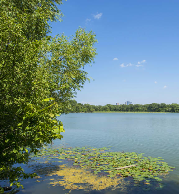 A body of water with a tree on the left and a cloud in the sky. at Park Towers, Minnesota