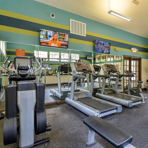 A gym with treadmills, weight benches and other equipment.