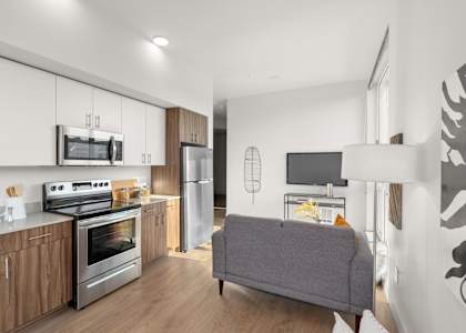 A modern kitchen with a grey couch in the living room.
