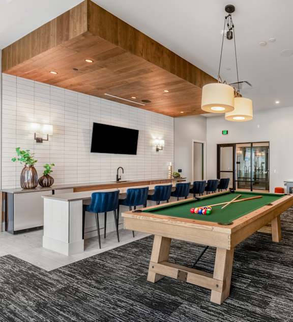 A room with a pool table and a shelf with a plant on it.