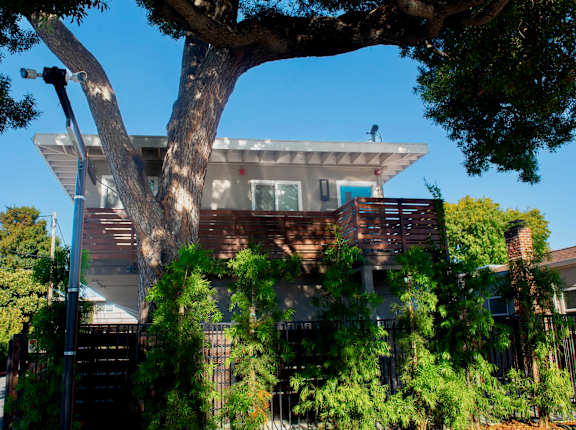 A tree is in front of a house.