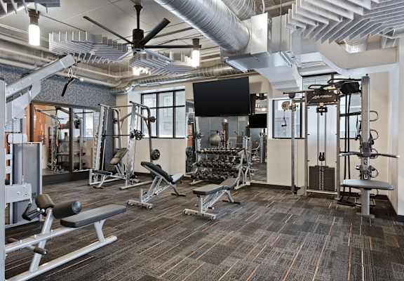 A gym with a variety of equipment including a bench press, squat rack, and a barbell.