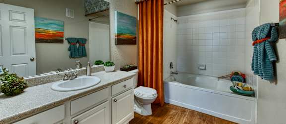 a bathroom with a tub and a sink and a toilet