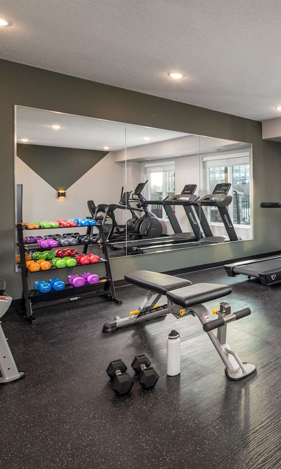A spacious gym with treadmills, exercise bikes, and dumbbells.