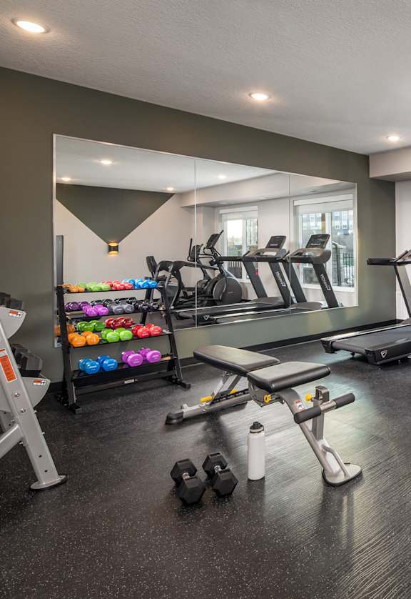 A spacious gym with treadmills, exercise bikes, and dumbbells.