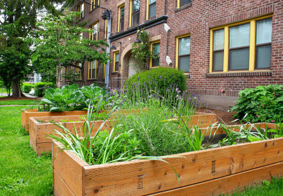 a garden in front of a brick building