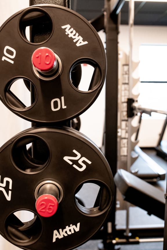 a pair of weights in a gym