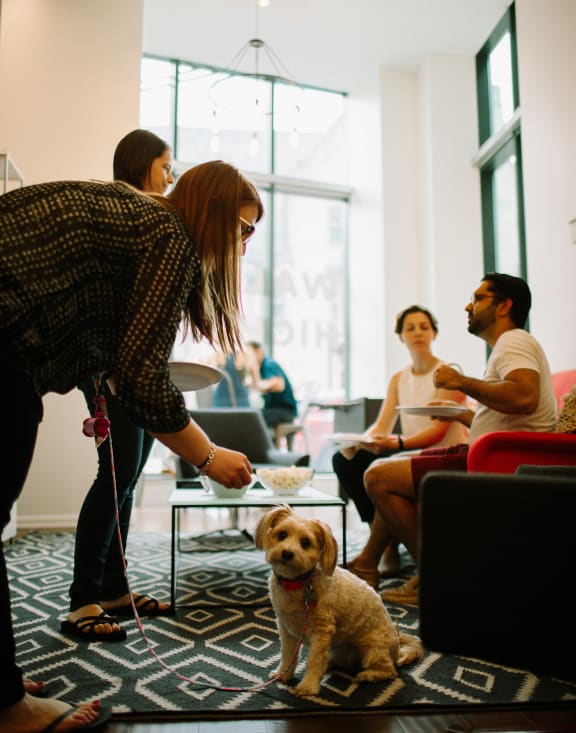 a woman with a dog on a leash in a room with people in the background