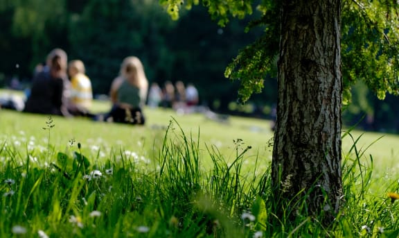people sitting in the grass in a park