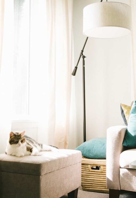a cat sitting on an ottoman in a living room