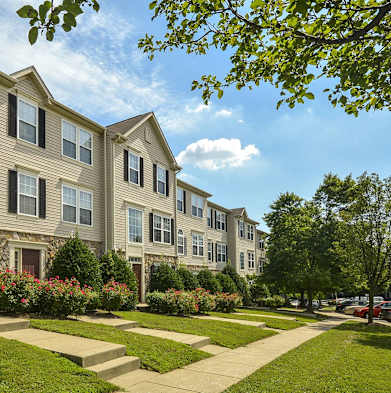 a street view of a row of apartment buildings