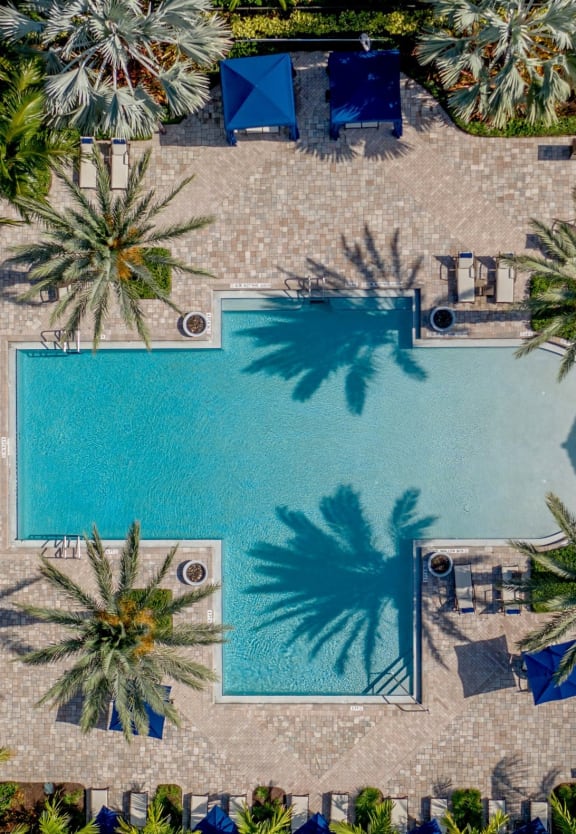 arial view of a swimming pool surrounded by palm trees