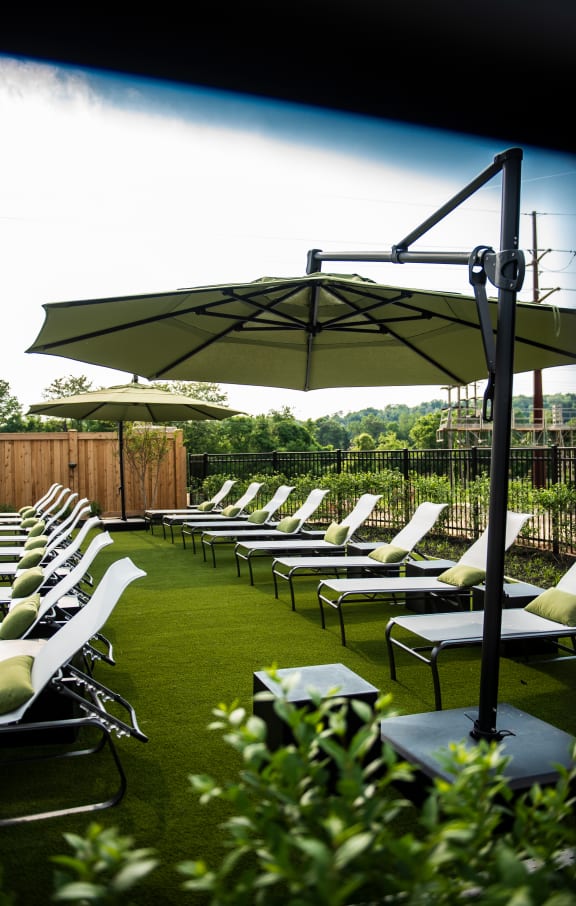 a row of lawn chairs and umbrellas on a lawn