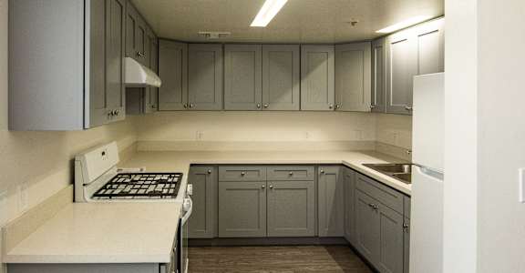 an empty kitchen with  appliances and gray cabinets