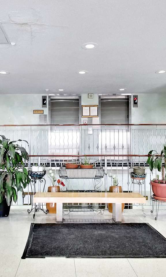 A room with a bench and potted plants.