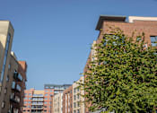 Thumbnail 4 of 8 - a view of the city with buildings and a tree