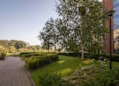 Thumbnail 5 of 8 - a garden outside a building with trees and grass