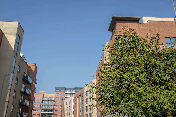 a view of the city with buildings and a tree