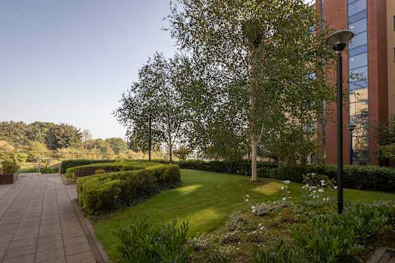 a garden outside a building with trees and grass