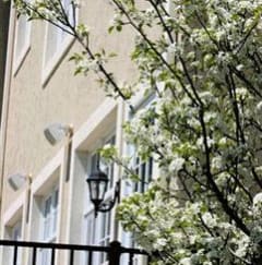 a tree with white flowers in front of a building at The Sanctuary of Lake Villa, Lake Villa, IL